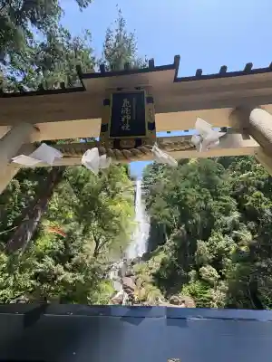 飛瀧神社（熊野那智大社別宮）の{uncategorized: "未分類", other: "その他", undefined: "問題あり", building: "その他建物", grave: "お墓", sacred_gate: "鳥居", guardian: "狛犬", statue: "像", buddha: "仏像", history: "歴史", nature: "自然", garden: "庭園", animal: "動物", pagoda: "塔", temizu: "手水舎", mountain_gate: "山門・神門", sanctuary: "本殿・本堂", subordinate: "末社・摂社", art: "芸術", scenery: "景色", jizo: "地蔵", ema: "絵馬", goshuin: "御朱印", omikuji: "おみくじ", items: "授与品その他", amulet: "お守り", goshuincho: "御朱印帳", eats: "食事", festival: "お祭り", votive_dance: "神楽", shichigosan: "七五三参", wedding: "結婚式", experience: "体験その他", initially: "初詣", around: "周辺", anti_infection: "感染症対策"}