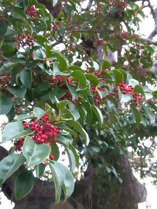 金攫八幡宮(京都府)
