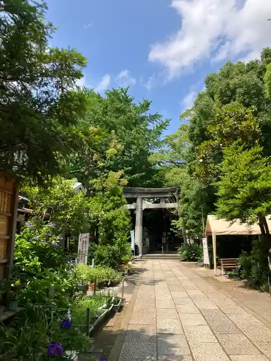 江東天祖神社の鳥居