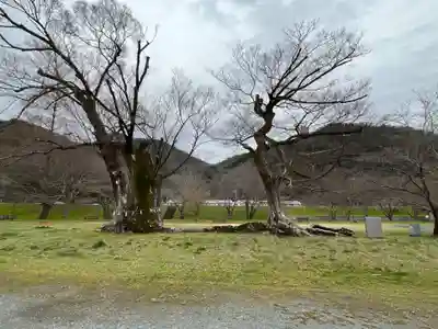 新宮八幡神社(兵庫県)