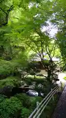 水間寺の建物その他