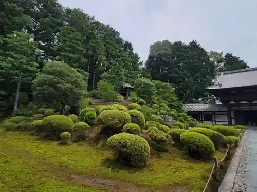 東福禅寺（東福寺）の庭園