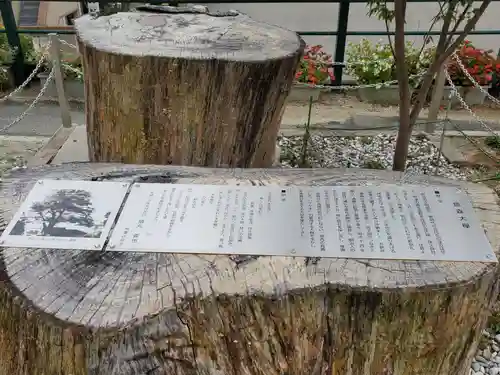 鷺宮八幡神社（保久良神社末社・お旅所）の自然