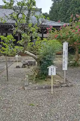 蓮華寺(滋賀県)