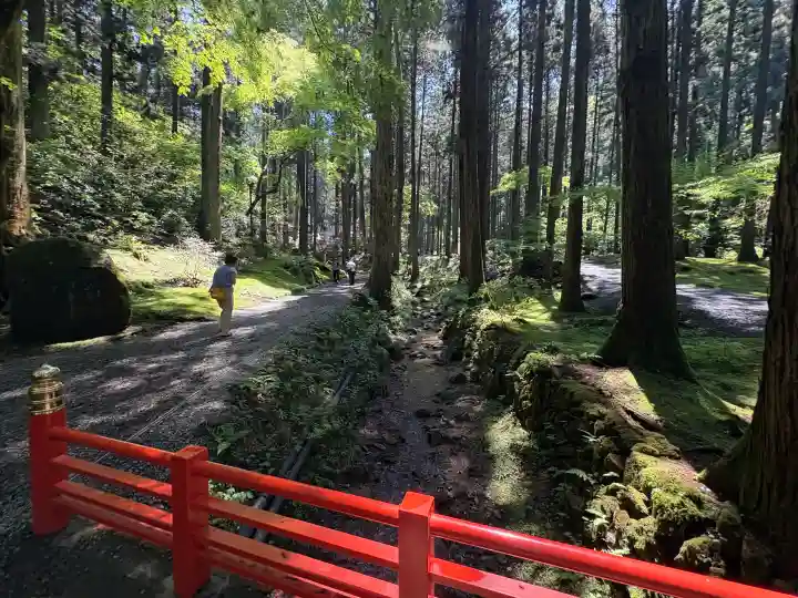 御岩神社の{uncategorized: "未分類", other: "その他", undefined: "問題あり", building: "その他建物", grave: "お墓", sacred_gate: "鳥居", guardian: "狛犬", statue: "像", buddha: "仏像", history: "歴史", nature: "自然", garden: "庭園", animal: "動物", pagoda: "塔", temizu: "手水舎", mountain_gate: "山門・神門", sanctuary: "本殿・本堂", subordinate: "末社・摂社", art: "芸術", scenery: "景色", jizo: "地蔵", ema: "絵馬", goshuin: "御朱印", omikuji: "おみくじ", items: "授与品その他", amulet: "お守り", goshuincho: "御朱印帳", eats: "食事", festival: "お祭り", votive_dance: "神楽", shichigosan: "七五三参", wedding: "結婚式", experience: "体験その他", initially: "初詣", around: "周辺", anti_infection: "感染症対策"}