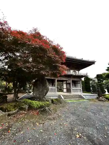 小川寺の山門