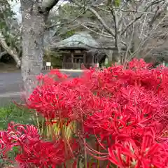 西蓮寺(茨城県)