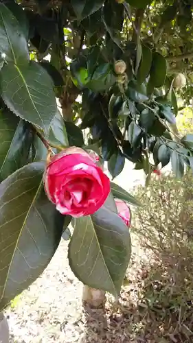 来迎寺(福島県)