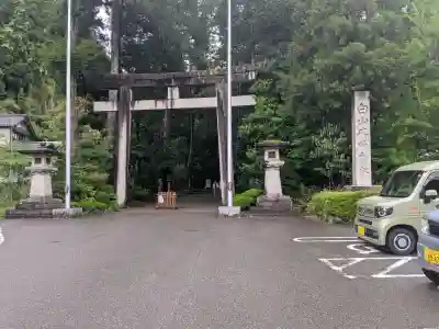 白山比咩神社の{uncategorized: "未分類", other: "その他", undefined: "問題あり", building: "その他建物", grave: "お墓", sacred_gate: "鳥居", guardian: "狛犬", statue: "像", buddha: "仏像", history: "歴史", nature: "自然", garden: "庭園", animal: "動物", pagoda: "塔", temizu: "手水舎", mountain_gate: "山門・神門", sanctuary: "本殿・本堂", subordinate: "末社・摂社", art: "芸術", scenery: "景色", jizo: "地蔵", ema: "絵馬", goshuin: "御朱印", omikuji: "おみくじ", items: "授与品その他", amulet: "お守り", goshuincho: "御朱印帳", eats: "食事", festival: "お祭り", votive_dance: "神楽", shichigosan: "七五三参", wedding: "結婚式", experience: "体験その他", initially: "初詣", around: "周辺", anti_infection: "感染症対策"}