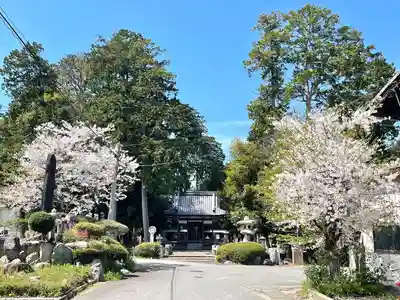 鹿島神社(滋賀県)