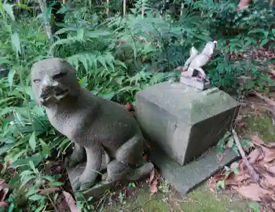 円山随身稲荷大明神の狛犬