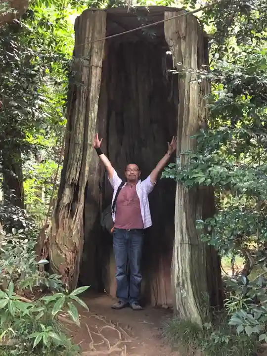 香取神宮の自然