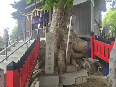 浅香山稲荷神社(大阪府)