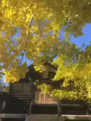 福住厳島神社の自然