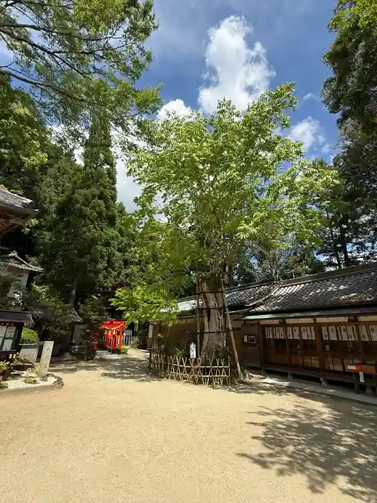 葛城一言主神社の{uncategorized: "未分類", other: "その他", undefined: "問題あり", building: "その他建物", grave: "お墓", sacred_gate: "鳥居", guardian: "狛犬", statue: "像", buddha: "仏像", history: "歴史", nature: "自然", garden: "庭園", animal: "動物", pagoda: "塔", temizu: "手水舎", mountain_gate: "山門・神門", sanctuary: "本殿・本堂", subordinate: "末社・摂社", art: "芸術", scenery: "景色", jizo: "地蔵", ema: "絵馬", goshuin: "御朱印", omikuji: "おみくじ", items: "授与品その他", amulet: "お守り", goshuincho: "御朱印帳", eats: "食事", festival: "お祭り", votive_dance: "神楽", shichigosan: "七五三参", wedding: "結婚式", experience: "体験その他", initially: "初詣", around: "周辺", anti_infection: "感染症対策"}