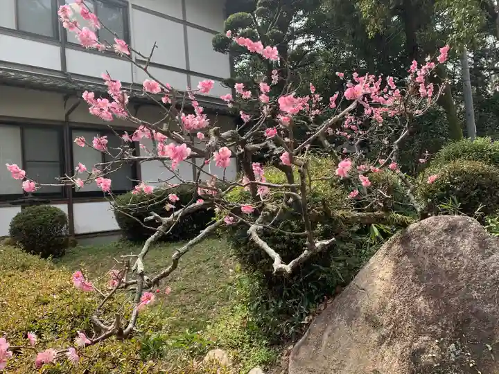 大和神社の自然