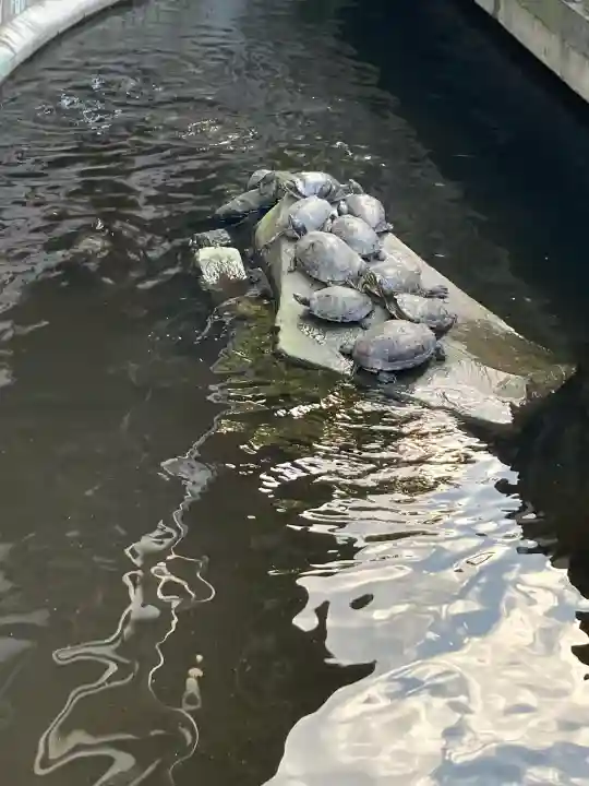 成田山川越別院(埼玉県)