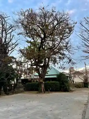 最勝寺教学院(東京都)