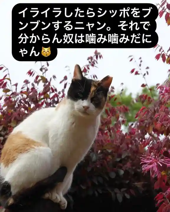 専念寺(大阪府)