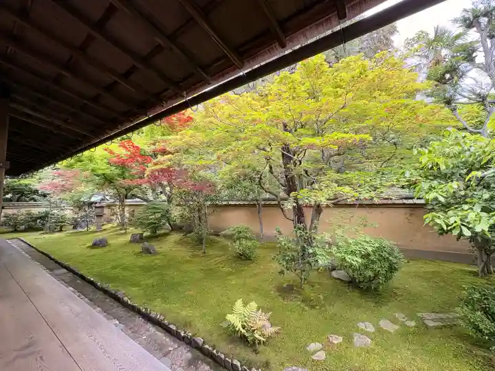 興臨院の{uncategorized: "未分類", other: "その他", undefined: "問題あり", building: "その他建物", grave: "お墓", sacred_gate: "鳥居", guardian: "狛犬", statue: "像", buddha: "仏像", history: "歴史", nature: "自然", garden: "庭園", animal: "動物", pagoda: "塔", temizu: "手水舎", mountain_gate: "山門・神門", sanctuary: "本殿・本堂", subordinate: "末社・摂社", art: "芸術", scenery: "景色", jizo: "地蔵", ema: "絵馬", goshuin: "御朱印", omikuji: "おみくじ", items: "授与品その他", amulet: "お守り", goshuincho: "御朱印帳", eats: "食事", festival: "お祭り", votive_dance: "神楽", shichigosan: "七五三参", wedding: "結婚式", experience: "体験その他", initially: "初詣", around: "周辺", anti_infection: "感染症対策"}