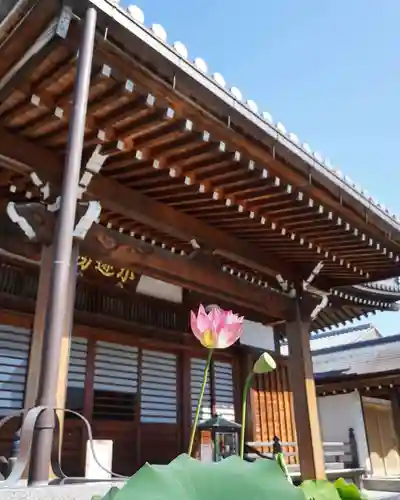 上行寺(静岡県)