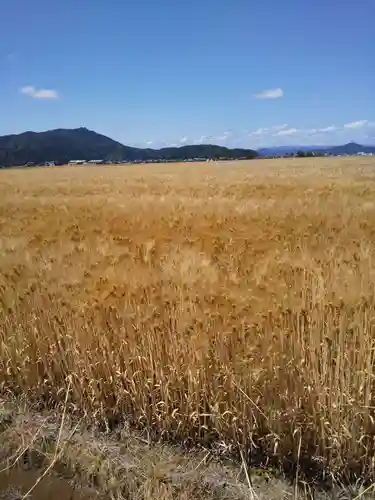 明智神社の周辺