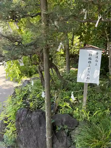 進雄神社(群馬県)