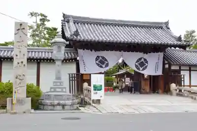 妙心寺（妙心禅寺）の山門・神門