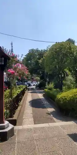 白山神社(東京都)