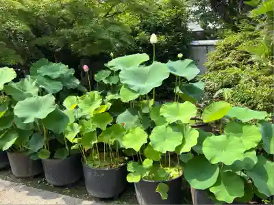 伊勢の国 四天王寺(三重県)