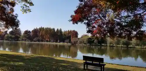 徳島稲荷神社の周辺