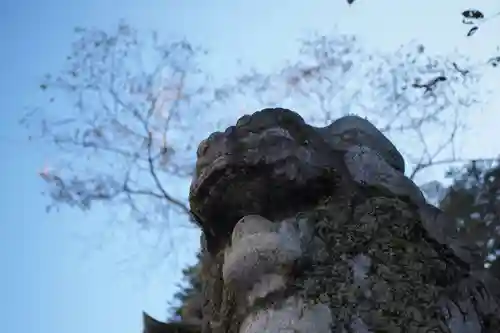 伊奈波神社の狛犬