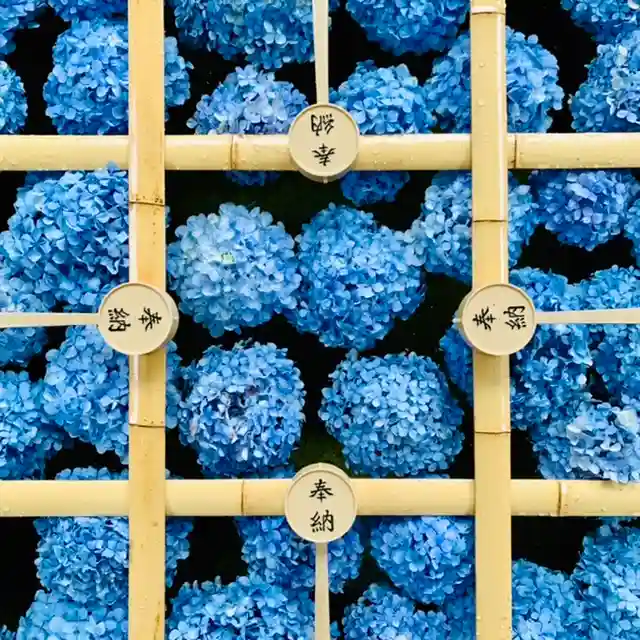 土津神社|こどもと出世の神さまの手水舎