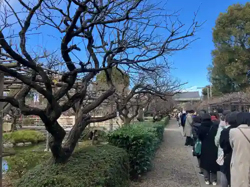 亀戸天神社(東京都)