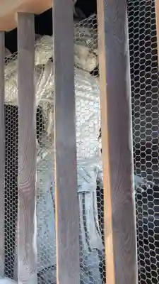 儀光寺(愛媛県)