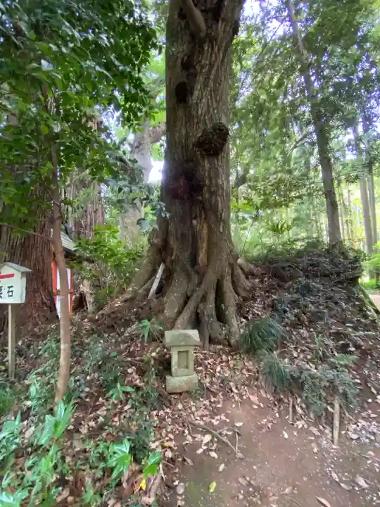 香取神宮(千葉県)