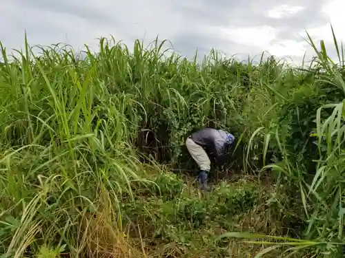 伏木香取神社(茨城県)