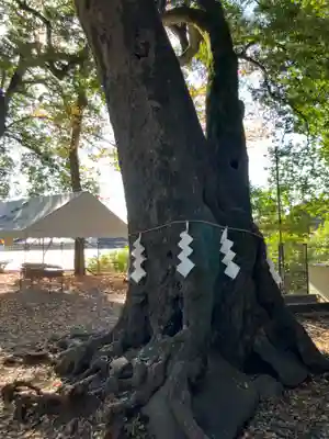 豊鹿嶋神社(東京都)