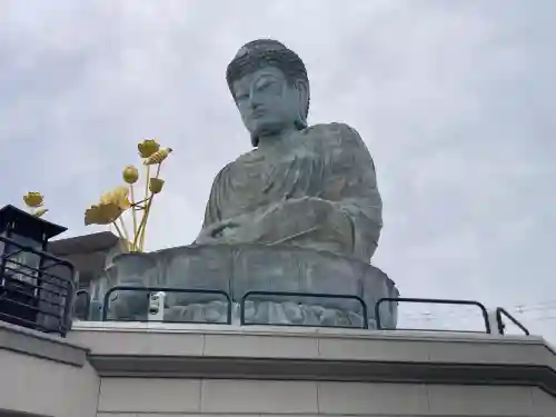 能福寺の{uncategorized: "未分類", other: "その他", undefined: "問題あり", building: "その他建物", grave: "お墓", sacred_gate: "鳥居", guardian: "狛犬", statue: "像", buddha: "仏像", history: "歴史", nature: "自然", garden: "庭園", animal: "動物", pagoda: "塔", temizu: "手水舎", mountain_gate: "山門・神門", sanctuary: "本殿・本堂", subordinate: "末社・摂社", art: "芸術", scenery: "景色", jizo: "地蔵", ema: "絵馬", goshuin: "御朱印", omikuji: "おみくじ", items: "授与品その他", amulet: "お守り", goshuincho: "御朱印帳", eats: "食事", festival: "お祭り", votive_dance: "神楽", shichigosan: "七五三参", wedding: "結婚式", experience: "体験その他", initially: "初詣", around: "周辺", anti_infection: "感染症対策"}
