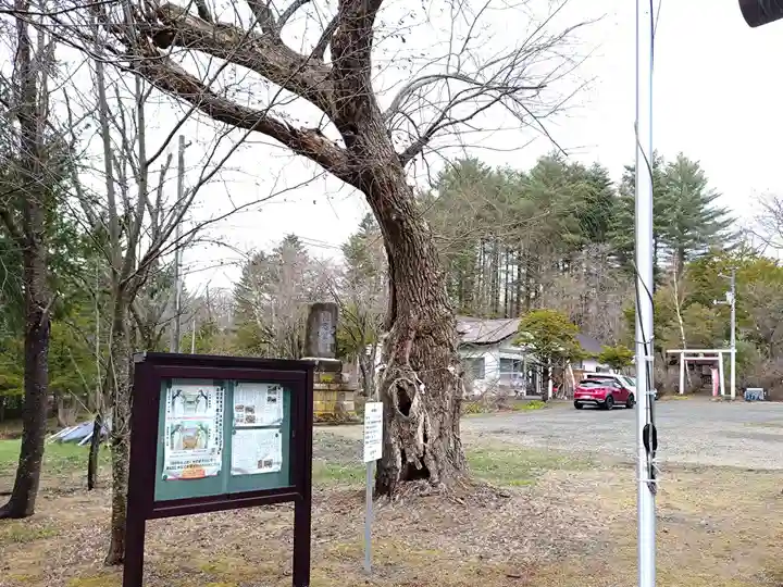 留辺蘂神社の自然