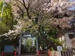 赤堤六所神社(東京都)