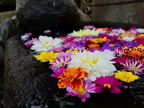 大鏑神社の手水舎