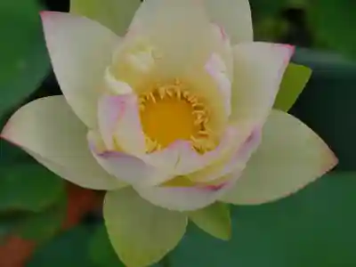 極楽山　浄土寺(北海道)