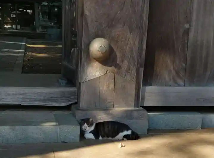 泉龍寺のその他建物