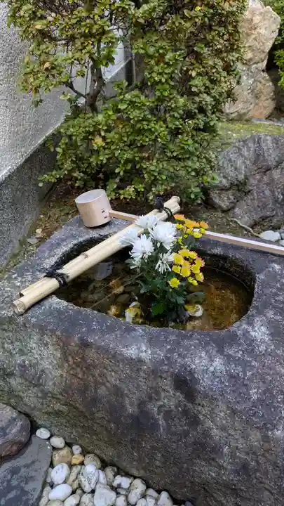 善長寺(京都府)