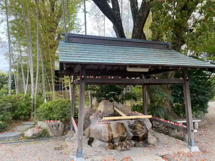 大安寺の{uncategorized: "未分類", other: "その他", undefined: "問題あり", building: "その他建物", grave: "お墓", sacred_gate: "鳥居", guardian: "狛犬", statue: "像", buddha: "仏像", history: "歴史", nature: "自然", garden: "庭園", animal: "動物", pagoda: "塔", temizu: "手水舎", mountain_gate: "山門・神門", sanctuary: "本殿・本堂", subordinate: "末社・摂社", art: "芸術", scenery: "景色", jizo: "地蔵", ema: "絵馬", goshuin: "御朱印", omikuji: "おみくじ", items: "授与品その他", amulet: "お守り", goshuincho: "御朱印帳", eats: "食事", festival: "お祭り", votive_dance: "神楽", shichigosan: "七五三参", wedding: "結婚式", experience: "体験その他", initially: "初詣", around: "周辺", anti_infection: "感染症対策"}