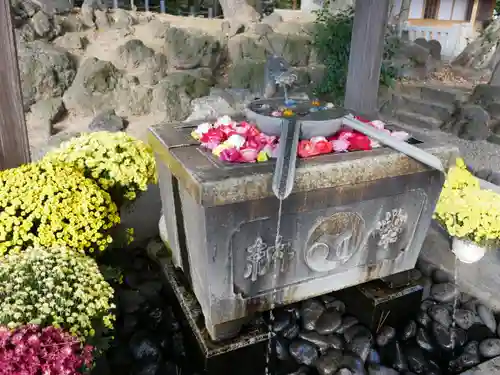 玉村八幡宮の手水