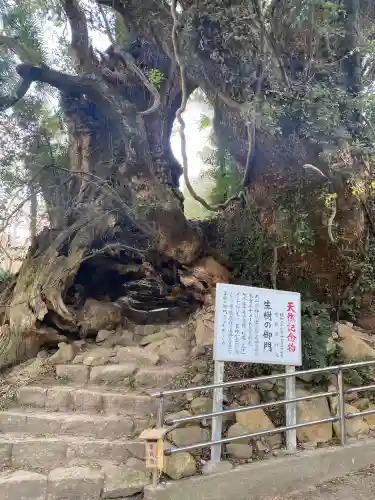 大山祇神社奥の院 生樹の御門の{uncategorized: "未分類", other: "その他", undefined: "問題あり", building: "その他建物", grave: "お墓", sacred_gate: "鳥居", guardian: "狛犬", statue: "像", buddha: "仏像", history: "歴史", nature: "自然", garden: "庭園", animal: "動物", pagoda: "塔", temizu: "手水舎", mountain_gate: "山門・神門", sanctuary: "本殿・本堂", subordinate: "末社・摂社", art: "芸術", scenery: "景色", jizo: "地蔵", ema: "絵馬", goshuin: "御朱印", omikuji: "おみくじ", items: "授与品その他", amulet: "お守り", goshuincho: "御朱印帳", eats: "食事", festival: "お祭り", votive_dance: "神楽", shichigosan: "七五三参", wedding: "結婚式", experience: "体験その他", initially: "初詣", around: "周辺", anti_infection: "感染症対策"}