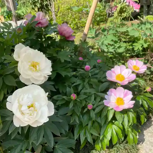 上野東照宮(東京都)