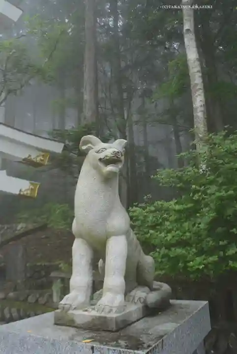三峯神社(埼玉県)